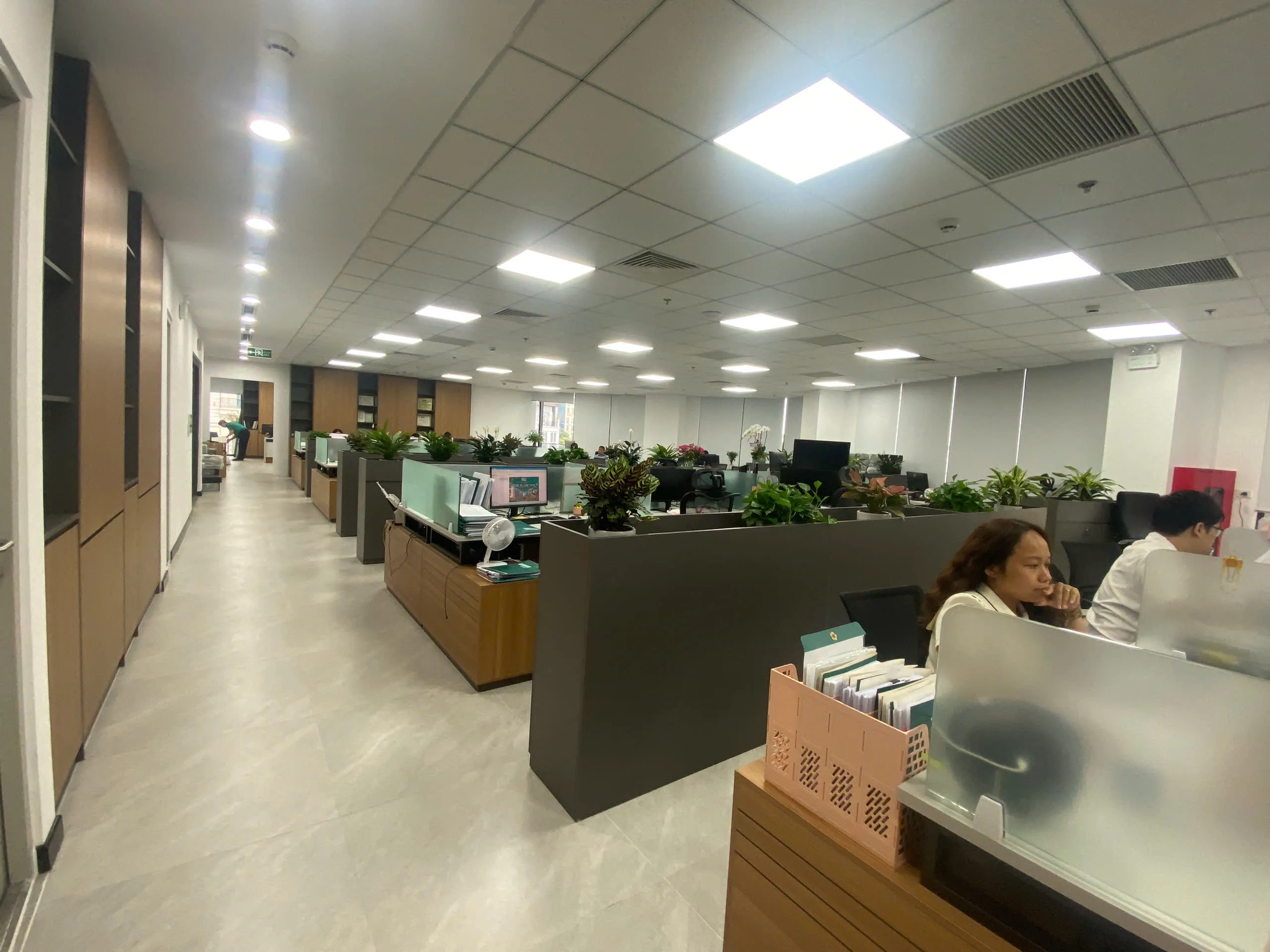 Dự án cây xanh văn phòng của Green Homes cho BIDV Long Biên Hà Nội